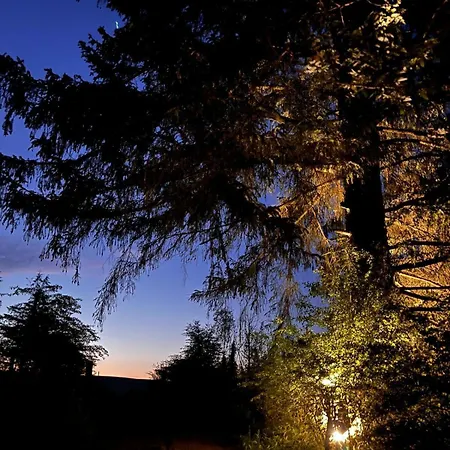 River Retreat Hideaway Sauna Leitrim *